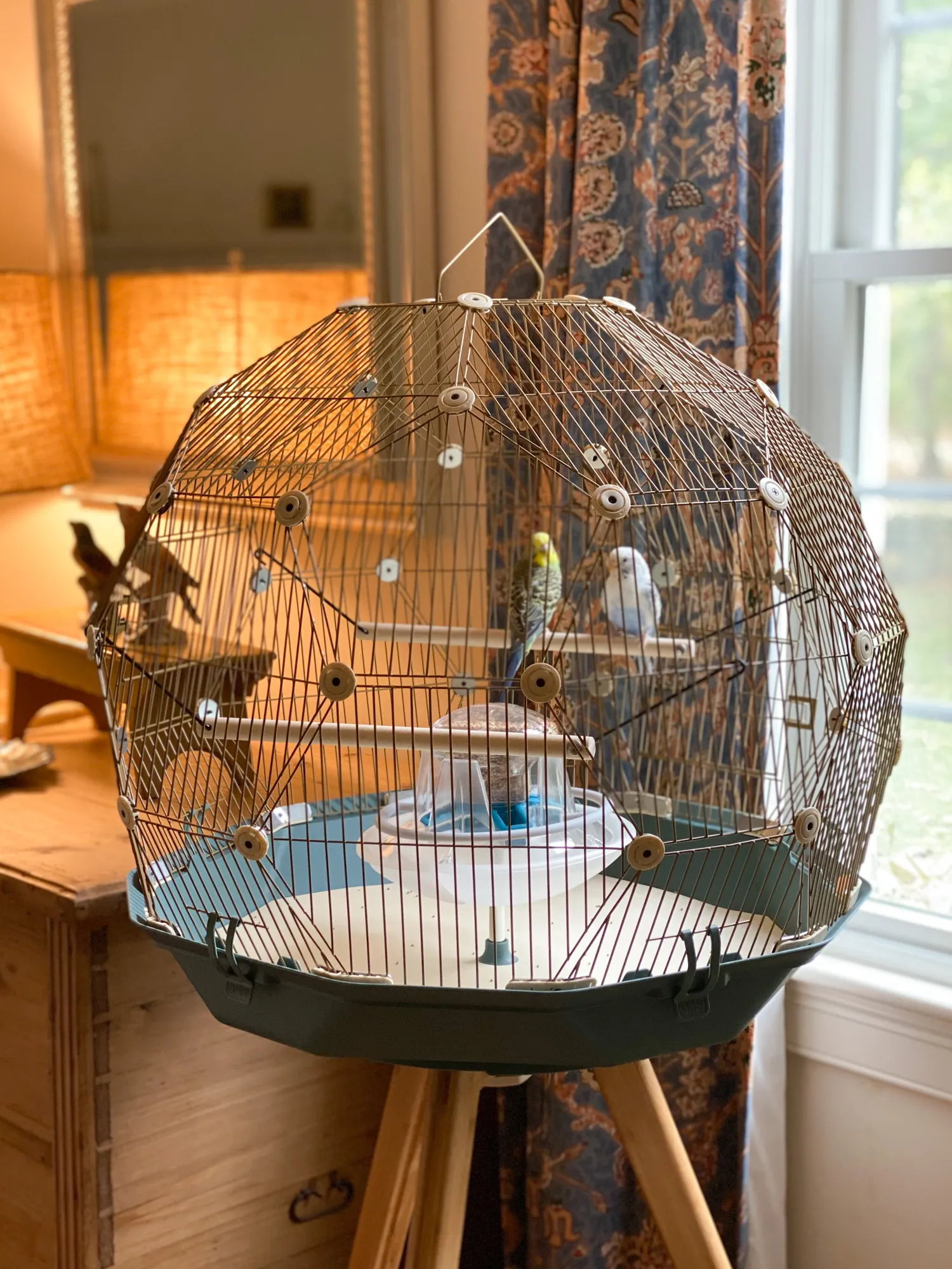 Geo Bird Cage – The Parakeets Get a New Home