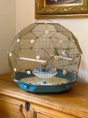 Geo Bird Cage – The Parakeets Get a New Home