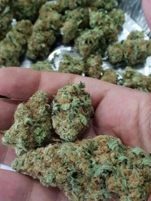 🇺🇸 Blue Dream kush weed 1gm=$19