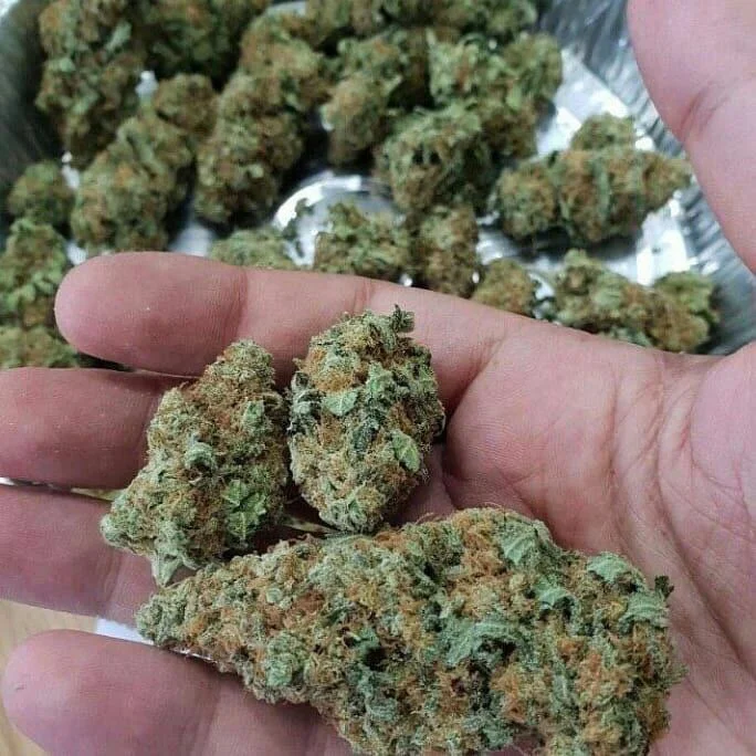 πΊπΈ Blue Dream kush weed 1gm=$19