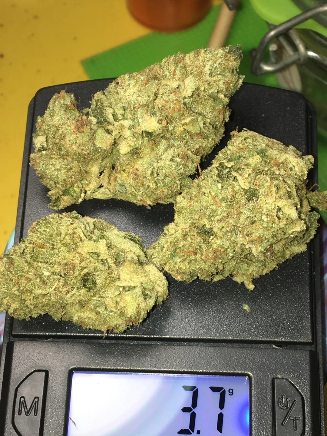 🇺🇸 weed Girl Scout Cookies (GSC) kush $20 per gram