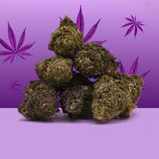 🇬🇧weed Purple Haze (cannabis) $20/G