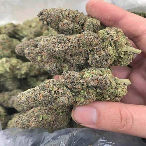 πΊπΈ Blue Dream kush weed 1gm=$19 - Image 5