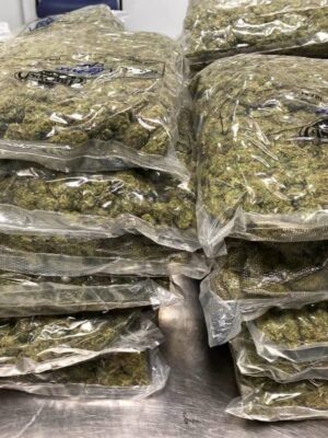 🇦🇺Weed 1g =$23 fresh weed