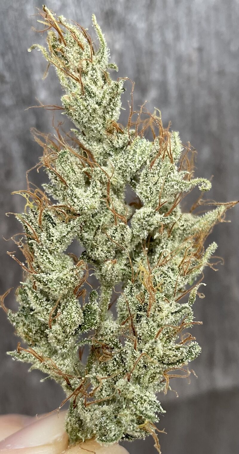 🇨🇦white Widow weed per 1 gram