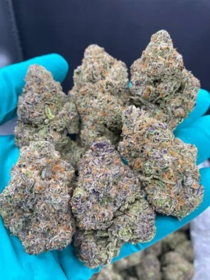 🇺🇸Gelato / Runtz weed per 1gram