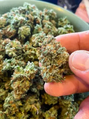 🇨🇦white Widow weed per 1 gram