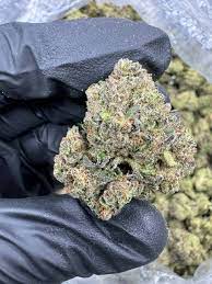 🇺🇸Gelato / Runtz weed per 1gram