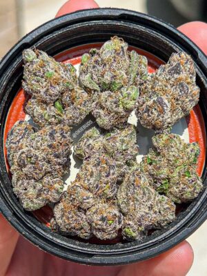 🇺🇸Gelato Runtz weed per 1gram