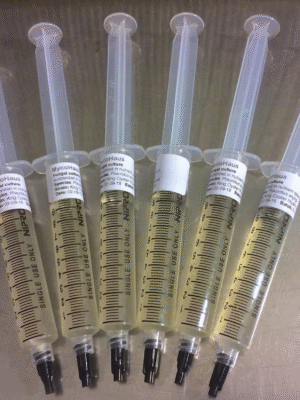 liquid culture syringes. best quality $12.99 per syringe
