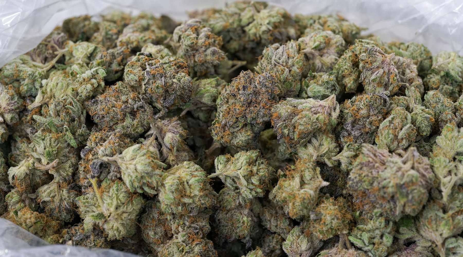 Guava runtz strain. $650 per pound high quality weed - Image 6