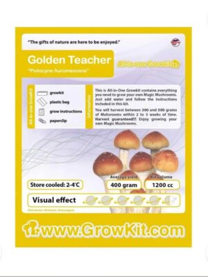 Golden teacher magic mushroom growkit